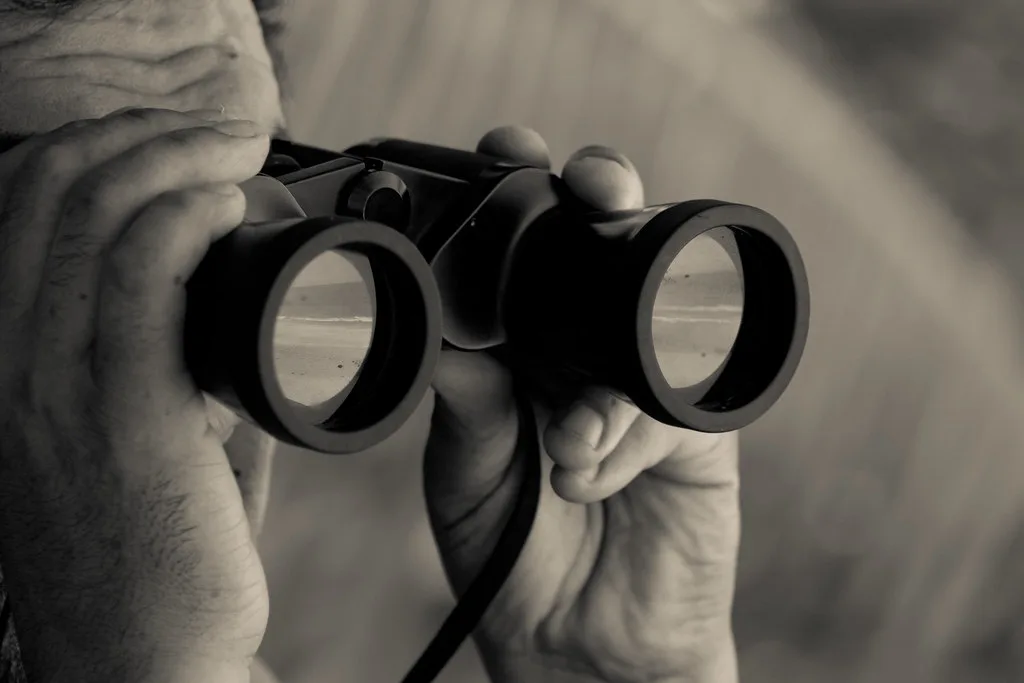 Best Budget Binoculars for Astronomy Under £100